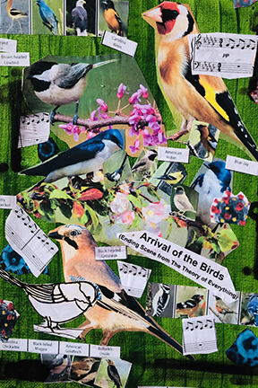 collage of birds