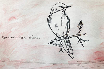 drawing of a bird of a twig
